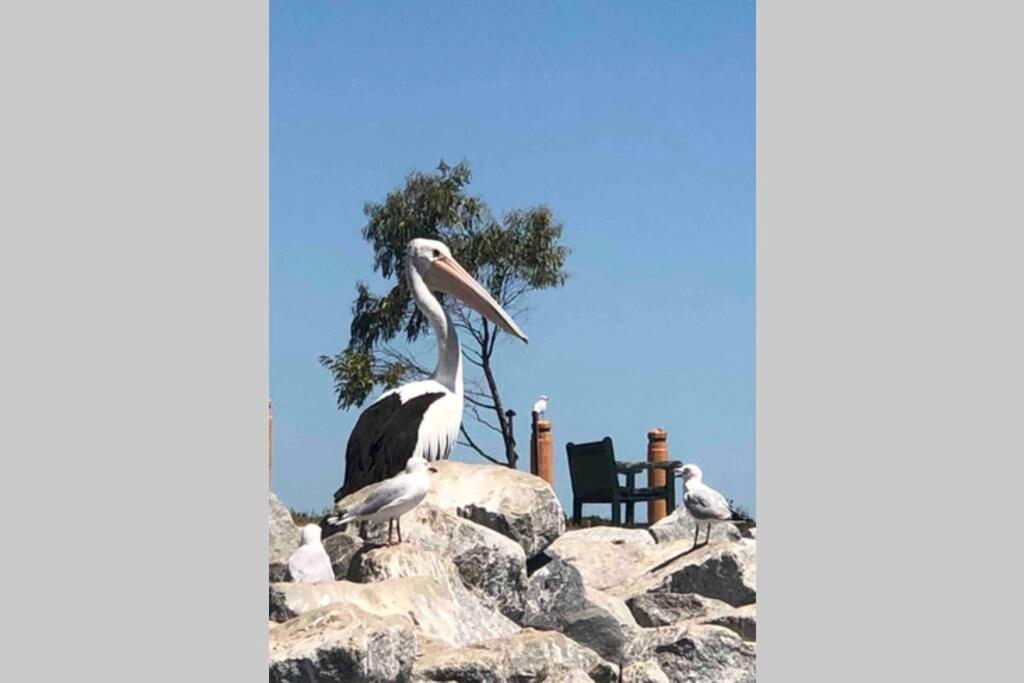 That Seaside Cottage - Fully Equipped Home, 4 Bedrooms On The Foreshore Tooradin Exterior foto