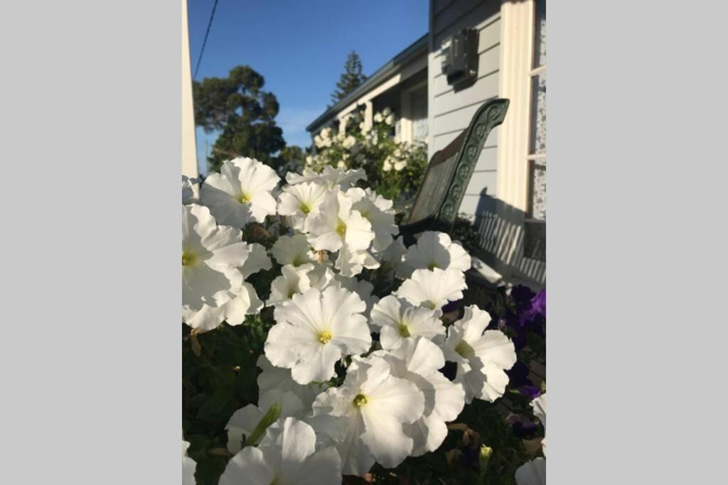 That Seaside Cottage - Fully Equipped Home, 4 Bedrooms On The Foreshore Tooradin Exterior foto